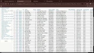 🎓 Final Project | CS50’s Introduction to Databases with SQL | Detailed Walkthrough | Step by Step