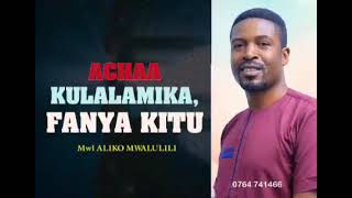 ACHA KULALAMIKA,FANYA KITU....MWL ALIKO MWALULILI