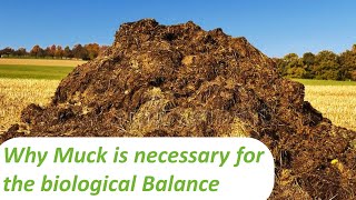 Why Muck is necessary for the biological Balance