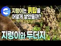 지렁이는 땅 속에서 뭘 할까? 지렁이 몸 속 구조 | 농기구보다 땅을 더 깊이 파는 괴력의 지렁이 | 알면 알수록 신기한 지렁이