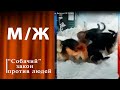 Растерзанная. Мужское / Женское. Выпуск от 02.12.2024