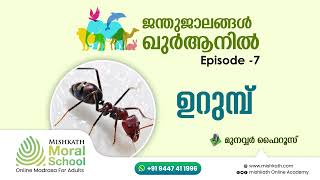 ഉറുമ്പ് I   ജന്തുജാലങ്ങൾ ഖുർആനിൽ  EP - 7