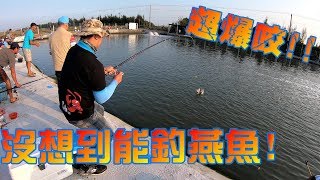 彰化大白鯊海釣場人生首次釣燕魚！隔壁釣竿被拖走！！Fishing in Taiwan    台湾の釣り