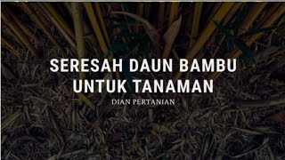 MANFAAT SERESAH DAUN BAMBU UNTUK TANAMAN