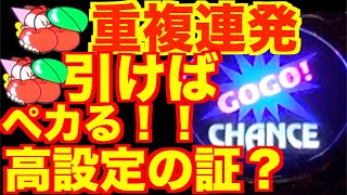 【検証#267 マイジャグラー4 リクエスト回】序盤からチェリー重複が止まらない！これは高設定の証？？