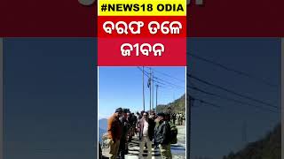 Sikkim Avalanche News Today | Sikkimରେ ବରଫ ତଳେ ଜୀବନ | ମାଡ଼ିଆସିଲା ବରଫ ପାହାଡ଼ | Odia News