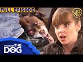 It's Me or The Dog USA | Season 1 Episode 16 | Warner Bros. TV