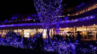 Terrace Mall 湘南 「湘南1st Christmas」 2011