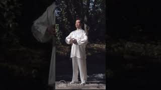 World Famous Tai Chi Master Teaching Tai Chi for Beginners #shorts