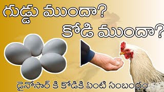 గుడ్డు ముందా? కోడి ముందా? తెలుసుకోండి #telugufacts #teluguknowledge #telugu