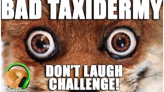 BAD TAXIDERMY - TRY NOT TO LAUGH CHALLENGE!