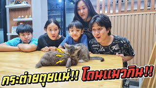 แม่จะว่ายังไง!! เมื่อลูกตัวแสบ แอบเลี้ยงแมว | ชีต้าพาชิว