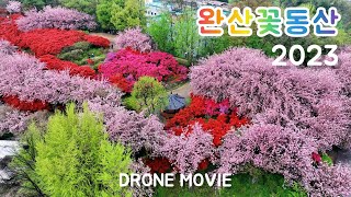 전주 완산칠봉 꽃동산 만개했습니다! 2023.04.15 DRONE MOVIE