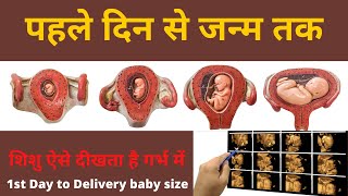 पहले दिन से लेकर नौ महीने तक शिशु कैसे बनता है 1 day to 9 months of baby growth during pregnancy