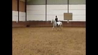 Parcours dressage Nina