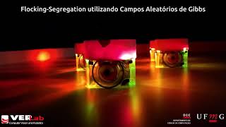 Flocking-Segregation using Gibbs Random Fields