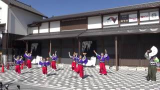 豊田よさこい踊り連　火真和鈴（初陣まつりin ＮＥＯＰＡＳＡ岡崎）②