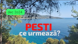 PESTI: dec 2o24: CE URMEAZA?                                   o idila de sărbători