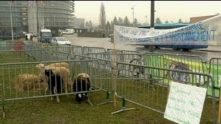 Small farmers protest over 'unfair' EU farm subsidies