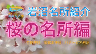 【岩沼紹介】桜の名所編　（竹駒神社　金蛇水神社　ハナトピア岩沼）2022年4月