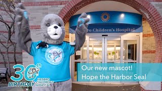 Happy 30th Birthday to Hasbro Children’s Hospital!