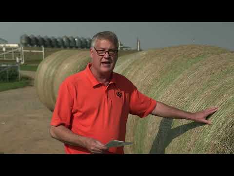 How much is a bale?