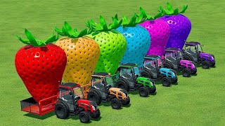 LOAD & TRANSPORT GIANT COLORED STRAWBERRY WITH TRACTORS MAN - Farming Simulator 22