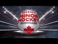 gthl hockey highlights toronto titans vs mississauga reps