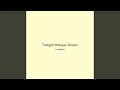 Twilight Whisper Dream