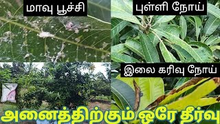 மாமரத்தில் உள்ள நோய்களை கட்டுப்படுத்துவது எப்படி