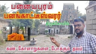 பனையபுரம் பனங்காட்டீஸ்வரர் கோவில் | Panayapuram Sivan| Villupuram Temples and Tourist| Velan's World