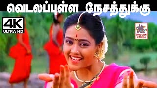 Vidala pulla nesathukku Song இசைஞானி இசையில் சுவர்ணலதா பாடிய வெடலப்புள்ள  நேசத்துக்கு..