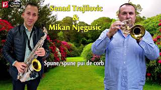 Senad Trajilovic \u0026 Mikan Njegusic || Spune, spune pui de corb