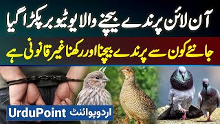 Online Illegal Birds Sale Karne Wala Youtuber Arrest, Kaun Se Bird Sale Karna Aur Rakhna Illegal Hai