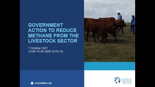 Government Action to Reduce Methane from the Livestock Sector (webinar)