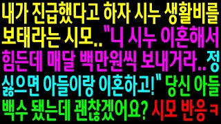 (실화사연)내가 진급했다고 하자 시누 생활비를 보태라는 시모..정 싫으면 이혼하라는데..당신 아들 백수됐는데 괜찮겠어요?시모 반응ㅋ[신청사연][사이다썰][사연라디오]