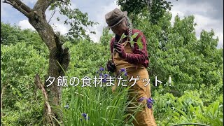 本日も軽トラ出動 / 虫刺されには薬草チンキを愛用してます（作り方を紹介）/ ０円のおかずが出来ました/　　#田舎暮らし  #古民家  #ヘビイチゴチンキ #スローライフ