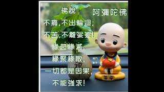 早安愉快：佛曲：願做菩薩那朵蓮🙏🙏🙏