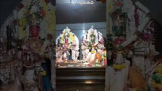 ಶ್ರೀ ಗ್ರಾಮದೇವಿ#navratri#temple#festival#durga#devi#yellapura#shorts#trending#havyakaloka#youtube#yt