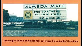 Almeda Mall: the second decade