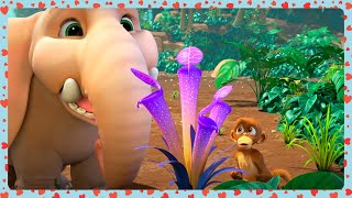 Purple Valentine Flower - Jungle Beat: Munki \u0026 Trunk | WildBrain Zoo | Kids Cartoon 2025