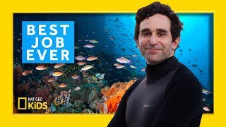 Marine Biologist: David Gruber | Best Job Ever