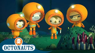 Octonauts - Into the Midnight Zone | Full Episode 4 | Cartoons for Kids | Underwater Sea Education