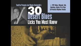 TrueFire Online Guitar Course -  30 Desert Blues Licks by Jan Wouter