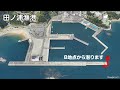 数万匹 アジ大群 現る！水中ドローン insta360x3【田ノ浦漁港】水中映像