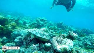 Under Water World 😍 | Maldives under water Beauty.. #Snorkeling_in_Maldives #Ashan_Production