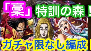 【トレクル】「稾」特訓の森！ヤマト×ロジャー！ガチャ限なし編成！【OPTC】Training Forest VS Hokins!