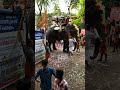 aana onu pedichuu.... aana idanju. elephant attack 2020 chiravarambathukavu temple pooram