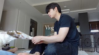 Eng. 본가에서 일주일! 설날 vlog (feat.우리집 강쥐들과 냥이들)