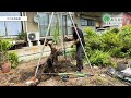 【お庭転生】ガーデニング捗るお庭へ！抜根5連発！ gardening tree solution akita japan felling 伐採 剪定 抜根 特殊伐採 チェーンソー